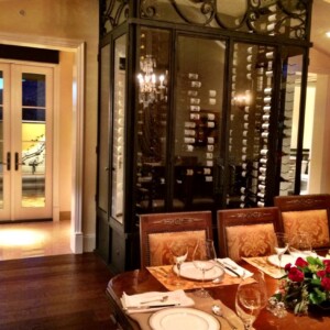 01 - New Braunfels Near Seattle Metal and Glass Classy Refrigerated Wine Cellar VintageView Innovations